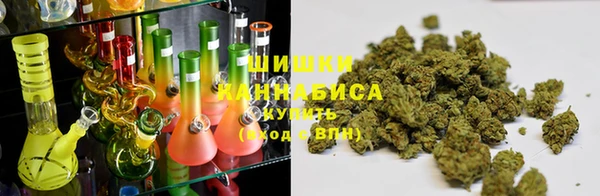 прущие грибы Михайловск