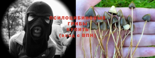 мескалин Белокуриха