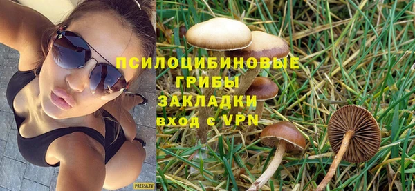 прущие грибы Михайловск