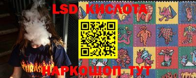 гашик Аргун