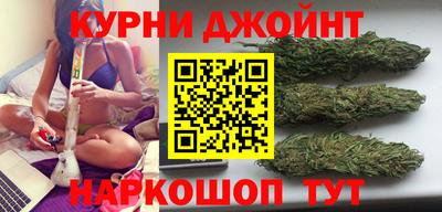 гашик Аргун