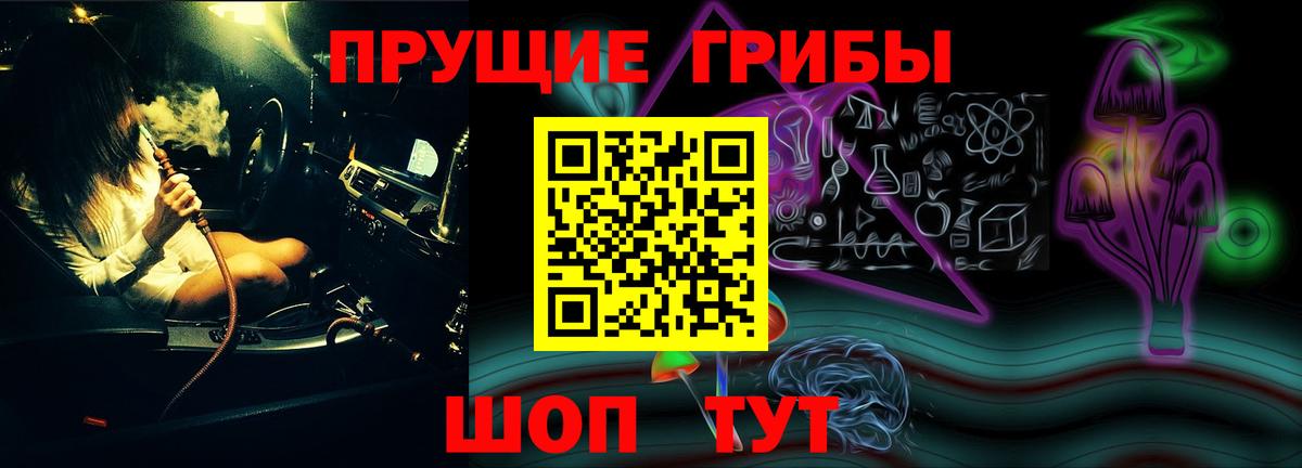 Псилоцибиновые грибы Cubensis  Беслан 