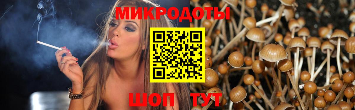 Беслан  Псилоцибиновые грибы MAGIC MUSHROOMS  Вход с VPN  Псилоцибиновые грибы Magic Shrooms 